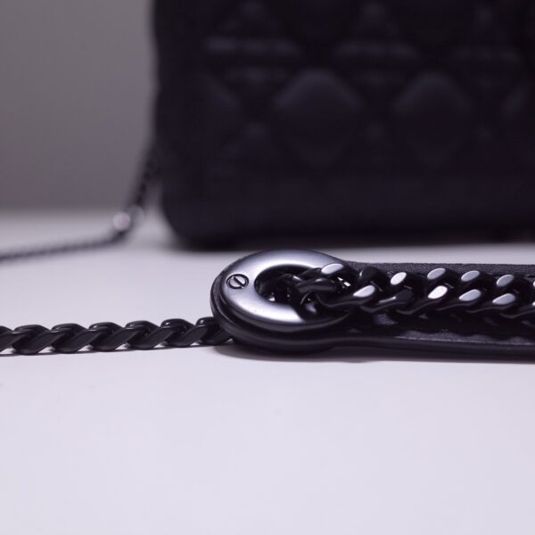 Lady Dior