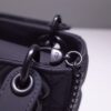 Lady Dior