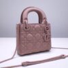 Lady Dior