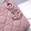 Lady Dior