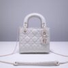 Lady Dior