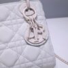 Lady Dior