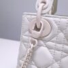Lady Dior