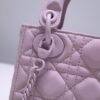 Lady Dior