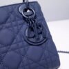 Lady Dior