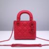Lady Dior