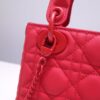 Lady Dior