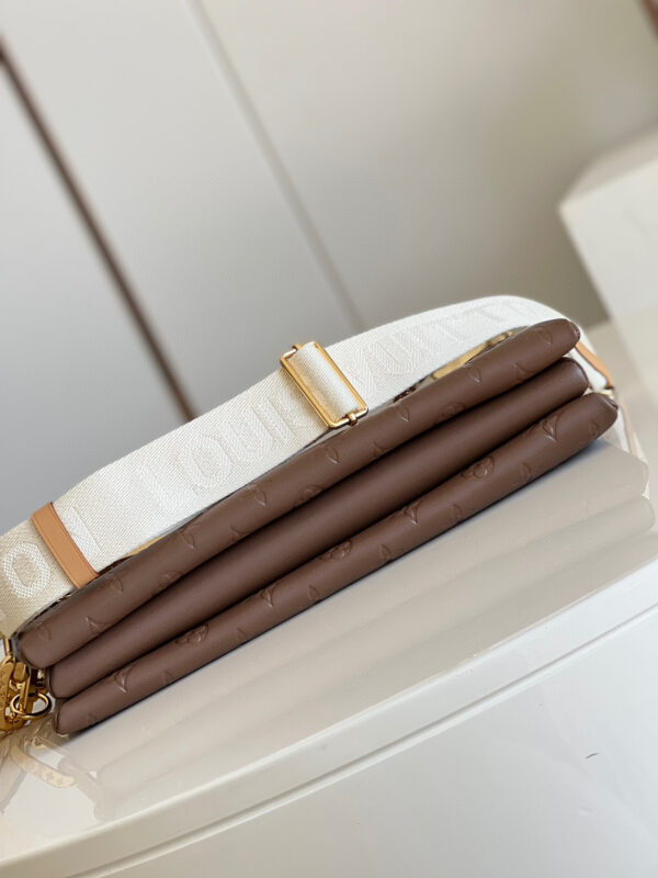 Louis Vuitton Coussin MM