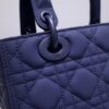 Lady Dior