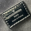 Louis Vuitton Coussin MM