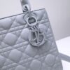 Lady Dior
