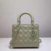 Lady Dior