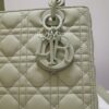 Lady Dior