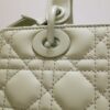 Lady Dior
