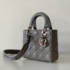 Lady Dior