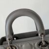 Lady Dior