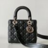 Lady Dior