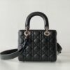 Lady Dior