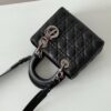 Lady Dior