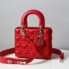 Lady Dior