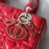 Lady Dior