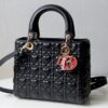 Lady Dior