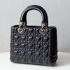 Lady Dior
