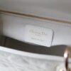 Lady Dior