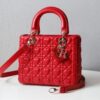 Lady Dior