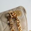 Dior Caro