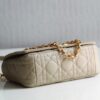 Dior Caro