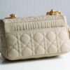 Dior Caro