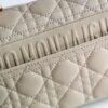 Dior Caro