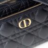Dior Caro