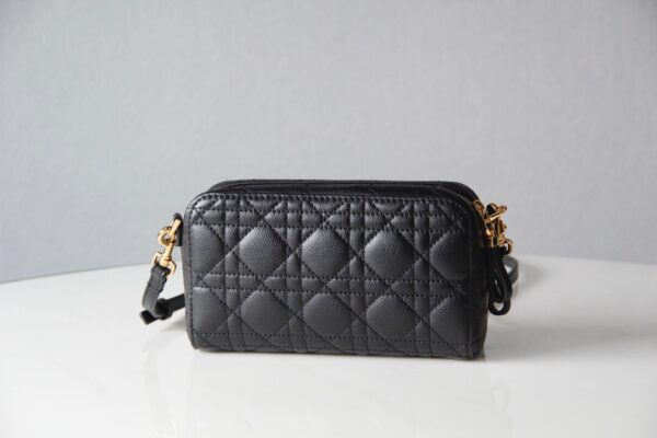 Dior Caro