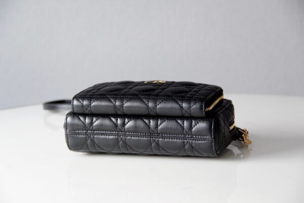 Dior Caro