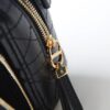 Dior Caro