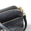 Dior Caro