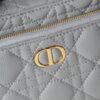 Dior Caro