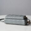 Dior Caro