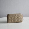 Dior Caro