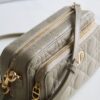 Dior Caro
