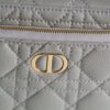 Dior Caro