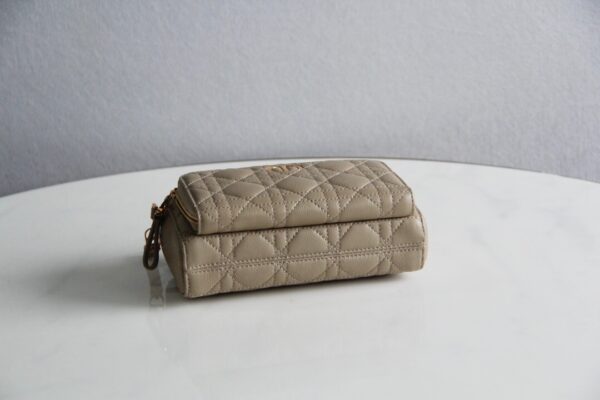 Dior Caro