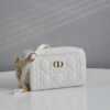 Dior Caro