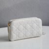 Dior Caro