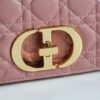 Dior Caro