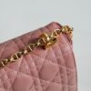 Dior Caro