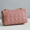 Dior Caro