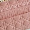 Dior Caro
